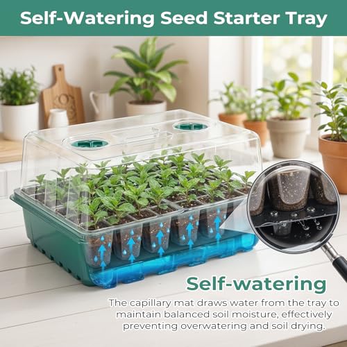 Hanaoyo Self-Watering Seed Starter Tray 2 Packs, 96 Cells Seed Starter Kit with Humidity Vented Domes and High Lid, Germination Kit for Indoor Greenhouse Seed Starter - size: 2 Pack-Self-Watering