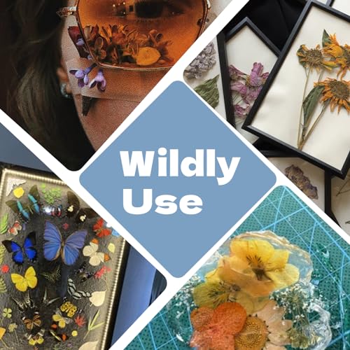 Pressed Flowers112 Pcs, Dried Pressed Flowers with 10Butterfly Stickers - size: 112 pcs Blue Dried Flowers with Butterfly Stickers