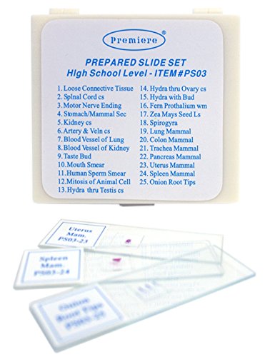 Prepared Microscope Slide Set - High School Level