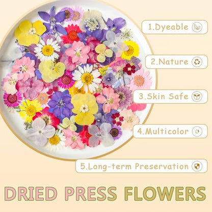Dried Pressed Flowers Real Pressed Flowers Natural Dry Leaves Bulk Mixed Colorful Herbs Kit with Tweezers for Scrapbooking DIY Candle Jewelry Crafts Making Nails - color: Vivid Color