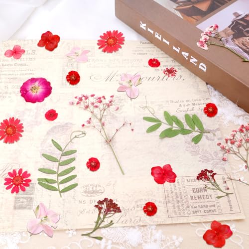 Dried Pressed Flowers Real Pressed Flowers Natural Dry Leaves Bulk Mixed Colorful Herbs Kit with Tweezers for Scrapbooking DIY Candle Jewelry Crafts Making Nails (Red) - color: Red