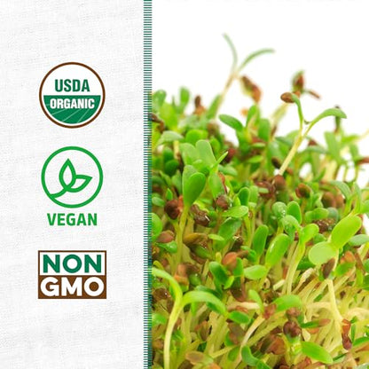 Back to the Roots 100% Organic Alfalfa Seeds | 1 Pound Non-GMO | Nutrient Dense, Easy to Grow, Rich in Fiber - color: Alfalfa 1lb