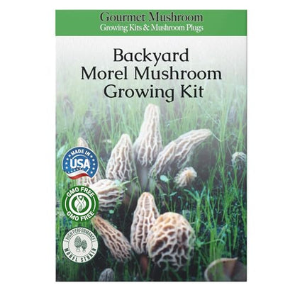Morel Mushroom Growing Kit (Morchella)