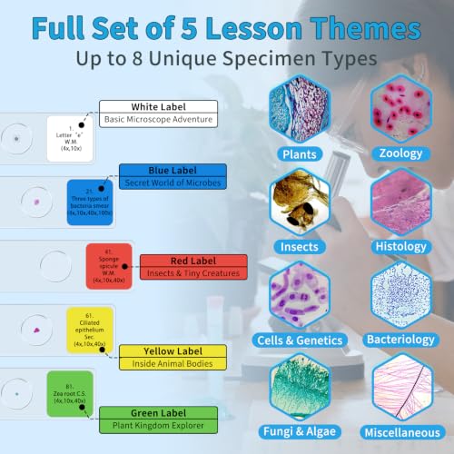100PCS Prepared Microscope Slides 5 Themed Sets for STEM Education