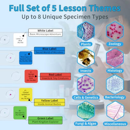 100PCS Prepared Microscope Slides 5 Themed Sets for STEM Education