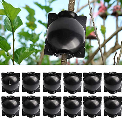 12 PCS Large Rooting Balls for Trees for Fast Propagation - size: Large
