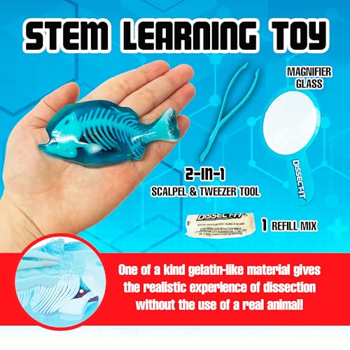 Top Secret Toys Dissect-It Mini Labs Piranha Lab Dissection Kit for Kids, Realistic Synthetic Kids Science Kit - On, Biology and Animal Anatomy, STEM Toy, Ages 6+ - style: Mini Piranha