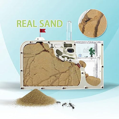 ELNMLHT Ant Farm Castle, Ant Farms with Yellow Sand and Tool Kit, Ant Colony Observation Kit, Ant Viewing Habitat Science Kit, Educational & Learning Science Kit for Kids, Adults, Student (Ant Farm B) - color: Ant Farm B