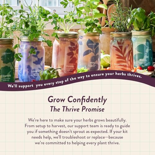 Modern Sprout Mason Garden Jar - Self-Watering Hydroponics Kit - Parsley - color: Parsley, size: Garden Jars