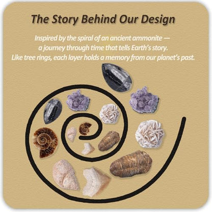 Gemstone and Fossil Dig Kit – Excavate 10 Gems and 10 Fossils, STEM Geology Set, Educational Toy, Science Kit for Kids Ages 8+