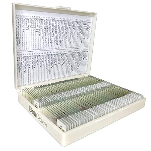 BoliOptics 100 Prepared Microscope Slides General Biology Specimen Set Plant Animal Human Anatomy Cells for Students Hobbyists Beginners Kids Homeschool, SL39901008