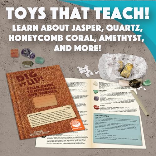 MindWare Dig It Up! Stone Fossil Dig Kits for Kids