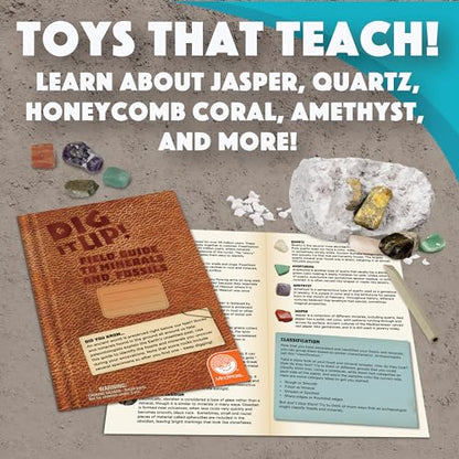 MindWare Dig It Up! Stone Fossil Dig Kits for Kids