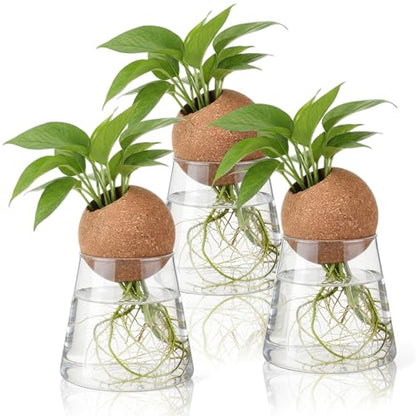 Baderke 3 Pcs 3.15 Inches Glass Plant Propagation Stations with Spherical Lid Glass Jars Plant Propagation Vases Hydroponic Spherical Cork Planter for Indoor Home Office Desktop Decor(Conical) - size: 3.15 Inches, style: Conical