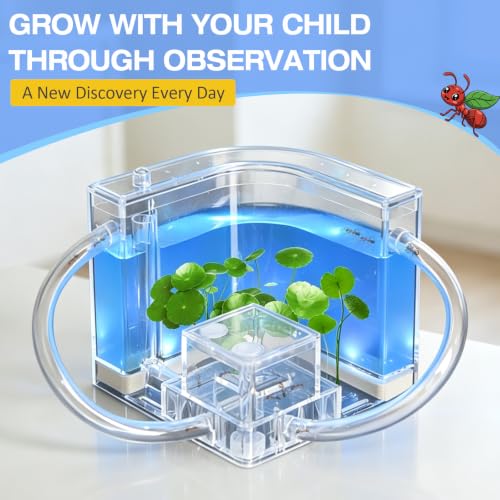 Ant Nest, Ant Habitat Kit