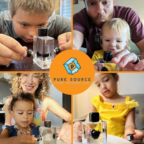 Ferrofluid Kit, Sealed Bottle & 2 Magnets - color: Black