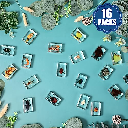16 Pcs Ocean Animal Insect in Resin Specimen Bugs Collection Paperweights，16 Styles Real Bug Specimen Bug Kit Preserved in Resin for Scientific Educational Display Supplies (Ocean)