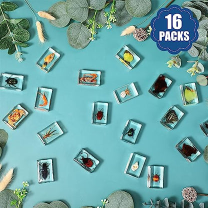 16 Pcs Ocean Animal Insect in Resin Specimen Bugs Collection Paperweights，16 Styles Real Bug Specimen Bug Kit Preserved in Resin for Scientific Educational Display Supplies (Ocean)