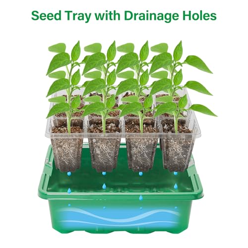 Bonviee Seed Starter Trays with 12-LED Grow Lights, Green, 5 Pack - color: Green, size: 5 Packs
