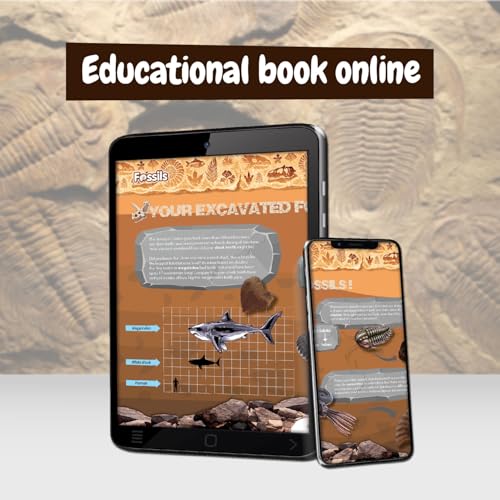 Science4you Fossil Digging Kit for Kids – Archeology, Excavation and Paleotology Kits for Kids, Fossil Dig, Stem Toy and Gift for Boys and Girls Age 6 7 8-12+ - style: 2. Fossil Excavation Kit