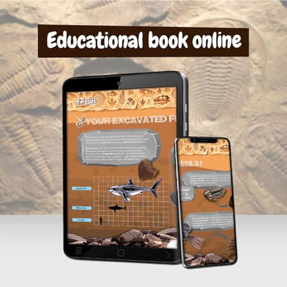 Science4you Fossil Digging Kit for Kids – Archeology, Excavation and Paleotology Kits for Kids, Fossil Dig, Stem Toy and Gift for Boys and Girls Age 6 7 8-12+ - style: 2. Fossil Excavation Kit