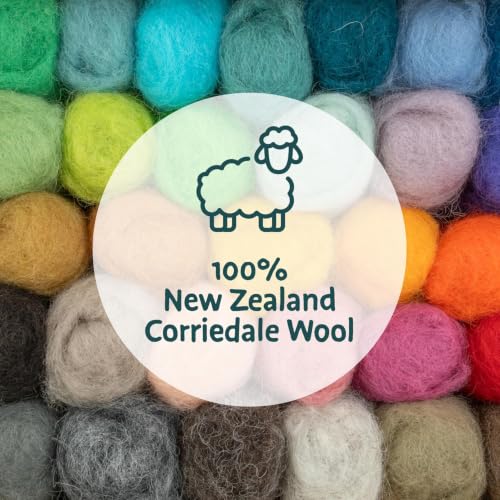 Woolbuddy Needle Felting Kit Starter Set (Sea Animals) for Beginner Adults - color: Sea Animal