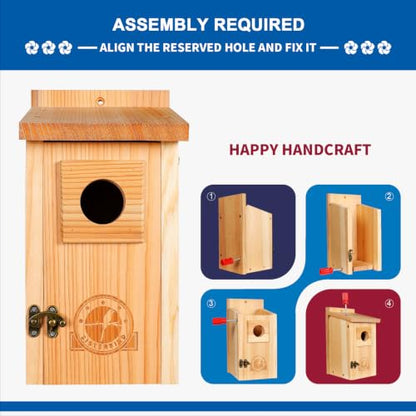 SISTERBIRD 2 Pack Blue Bird Houses for Outdoors, Warming Gifts Bird House - color: Burly Wood -- 2PK