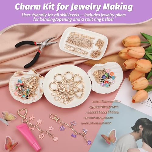 selizo 404Pcs Charms Lip Gloss Keychain Making Kit, DIY Craft Supplies with Charms, Key Chain Hooks, Jump Rings, Lobster Clasps, Chains, Jewelry Making Kit for Custom Keychains, Bags, Valentines Gifts - color: Gold-404Pcs Kit
