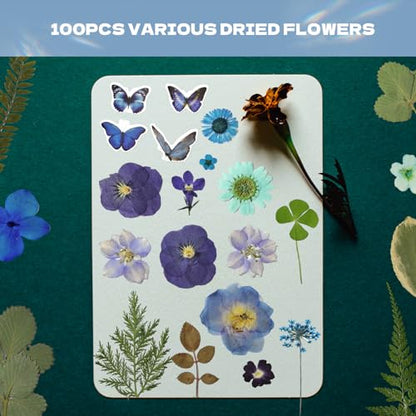 Pressed Flowers112 Pcs, Dried Pressed Flowers with 10Butterfly Stickers - size: 112 pcs Blue Dried Flowers with Butterfly Stickers