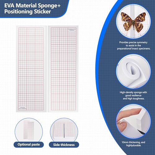 Insect Specimen Tools Kit - EVA Foam Pinning Board, Coordinate Paper, Wings Pressing Paper, Insect Pins & Butterfly Pins, Entomology Kit for Beginners & Hobbyists (PVC Display Case) - size: PVC Display Case Box Kit