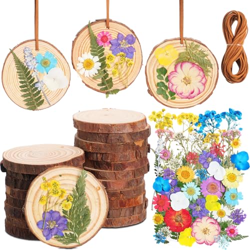 20 Set DIY Crafts Wooden Slices with Pressed Flower Fall, Vivid - style: Vivid