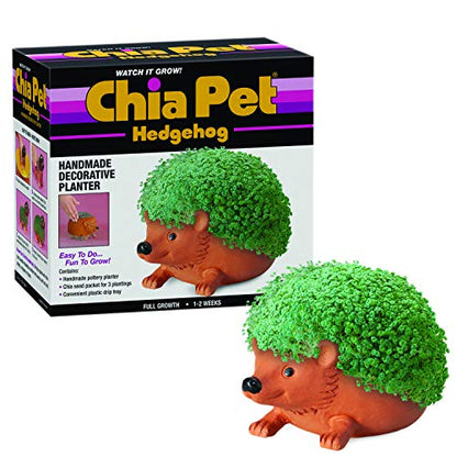 Chia Pet Hedgehog with Seed Pack, Decorative Pottery Planter, Easy to Do and Fun to Grow, Novelty Gift, Perfect for Any Occasion, Terra Cotta - style: Hedgehog