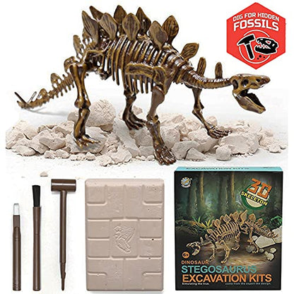 Dig & Discover Dino Stegosaurus Dinosaur Skeleton 3D Fossil Bones Excavation, Science Educational Toy Kit for Kids, Children - color: Stegosaurus