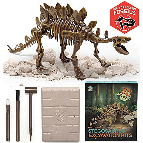 Dig & Discover Dino Stegosaurus Dinosaur Skeleton 3D Fossil Bones Excavation, Science Educational Toy Kit for Kids, Children - color: Stegosaurus