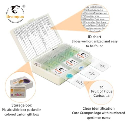30 Prepared Microscope Slides with Specimens for Kids Students - Plants, for Biological Science Lab, Children's Science Education, Homeschooling Use - style: 30PCS Plants