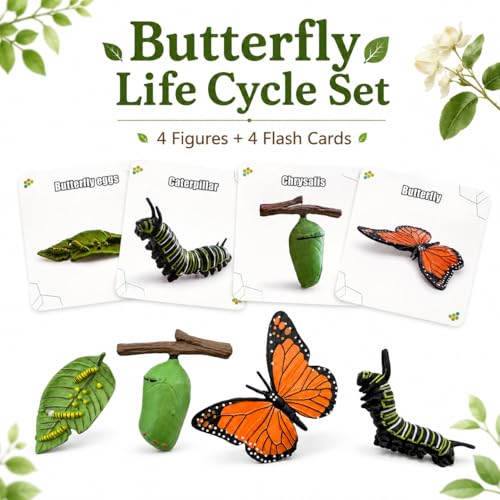 Montessori Life Cycle Animal Figures with Flash Cards, Lifelike Animal Growth Cycle Biological Model Set (Butterfly) - style: Butterfly