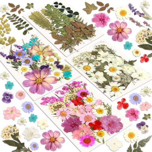Dried Flowers, Resiners 100Pcs Pressed Flowers for Craft - color: Blossom 100pcs