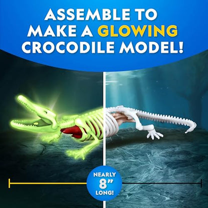 National Geographic Glow in the Dark Crocodile Dissection Lab Kit for Kids - style: Crocodile Dissection Kit