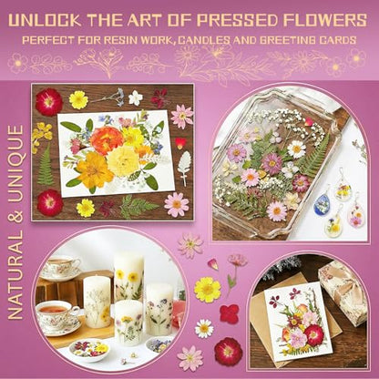 Dried Pressed Flowers for Resin - size: 85 pcs 26-Dried Flowers