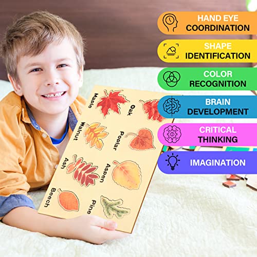 Kathfly 2 Pcs Montessori Leaf Wooden Puzzles Tree Shapes Toy, Cute - style: Cute