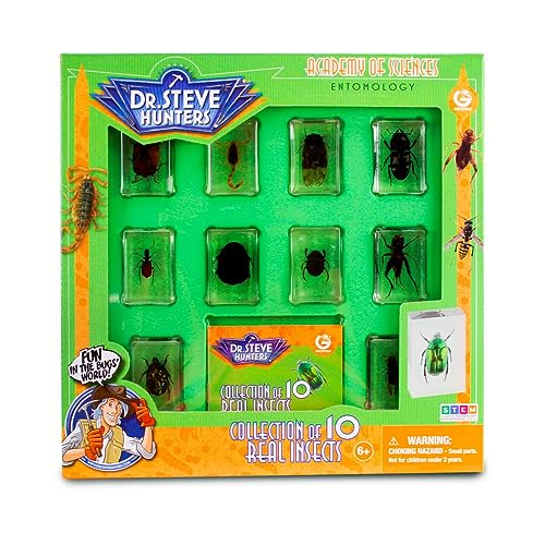 Geoworld 10 Insect Specimens Set - Real Beetles, Scorpions, Crickets in Resin with Magnifying Glass & Booklet - Great for Science Projects - Kids Scientific Educational Toy