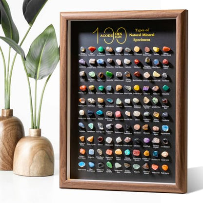 ACODE Natural Mineral Specimen Shadow Box, Geology Collection Display Case, Home Decor Wall Art Tabletop Display with Real Rocks Crystals, Gift for Birthday Christmas Housewarming Children's Day