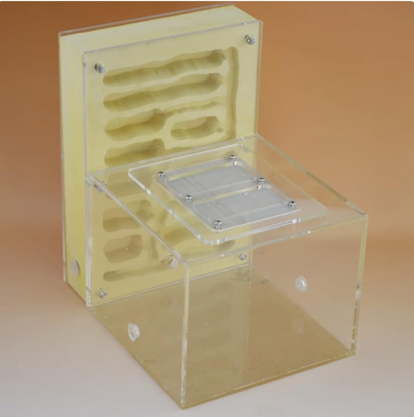 Cave Tower Plaster Ant Farm with Outworld and 10 mm Ports