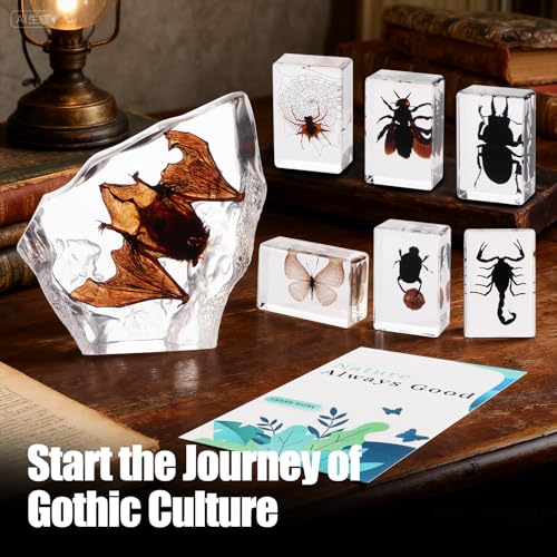 Black Bugs Specimen Resin, Special-Shaped Bat Taxidermy Insects & Beetle for Science Classroom Specimens Supplies, Halloween Christmas Gothic Gifts for Men, Black Oddities Décor(Bat Decor 7) - size: 7 Special Bat+
