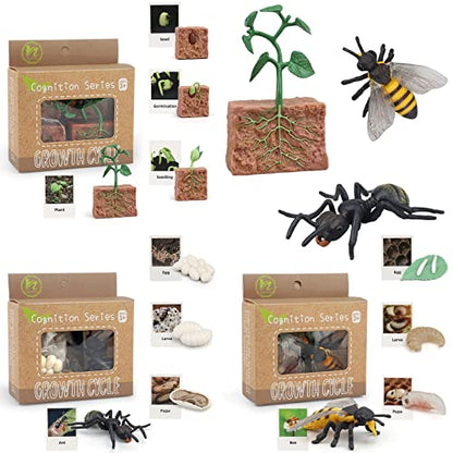 Montessori Life Cycle Animal Figurines Learning & Education Toys, Plastic Insect Life Cycle Toys for Kids, Preschool Learning Activities (Plant Bee Ant) - color: Plant Bee Ant