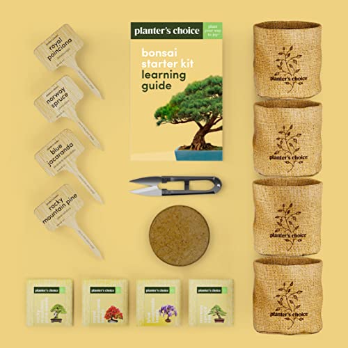 Bonsai Tree Kit for Beginners & Plant Lovers - Grow Your Own Bonsai