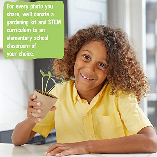 Back to the Roots Kids Science Grow Kit - 2 pk Bean and Watermelon - style: Bean and Watermelon Kit