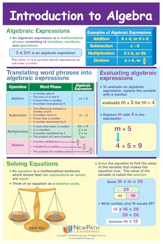 NewPath Learning Grade 5 Math Anchor Charts Set of 10 (12x18") & 25-Page Resource Guide Covering Advanced Fractions, Algebra & Geometry for Classroom & Homeschool Use (93-9950)
