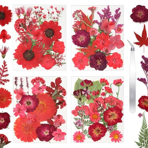 Dried Flowers for Resin Vacuum Packed DIY Pressed Flowers - size: 80 pcs Red Dried Flowers