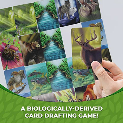 Ecosystem - A Family Card Game about Building Habitats | Learn about Animals, Ecology & Biodiversity for Kids, Adults, Families or the classroom! Fun Board Games for Environmental Science Class - style: Ecosystem